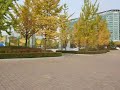 Autumn, Lake Park, Goyang, Ilsan, Seoul, South Korea
