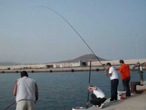 Grauvell - Aqui está el video de este primer maratón, esperamos que lo disfruten.que fue realizado por isidro sosa del club de pesca samadoramas.