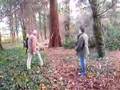 Tomahawk throw