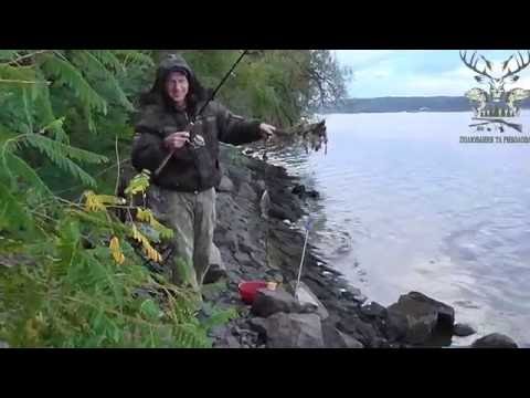 рыбалка на каневском водохранилище 2016 рыбалка на каневском водохранилище 2016