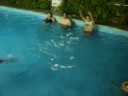 Escuela de M�sica Maranatha 2008 - Nah�m y Pablo ida y vuelta