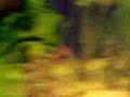 ...evolução do crescimento das plantas....... CBAP 2009  aqui vou eu .....rsrsrsr.....será que tenho alguma chance ??? 