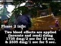 How To Zul'aman Nalorakk - Bear ZA