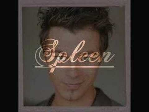 Spleen