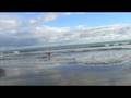 Logan The Boxer At Haematangi Beach.