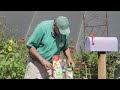 Garden Tips : Flower Gardening Supplies&Tips