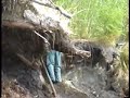 Acme moose hunting