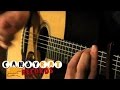 Hunter Van Larkins - Tapestry - (Acoustic Guitar)