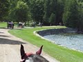 Horses and carriages caravan at Lake Champlain
