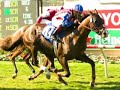 carl o callaghan live at del mar
