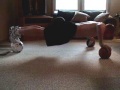 PUSH UP (SO YOU THINK YOU GOT EM?) PUSH UP (SO YOU THINK YOU GOT EM?)
