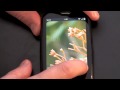 Palm Pre App Catalog