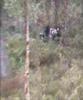 paintball i kristiansund