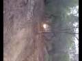 videos de alexis quad bollullos5