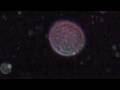 Orbs within Orbs, a quantum healing attunement