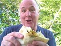 The Avocado Files - Part 1 The Avocado Files - Part 1