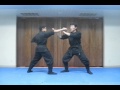 FREE Nintaijutsu for youtube #018