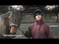 How to Lunge a Horse with Side Reins