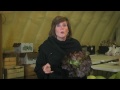 Mary Mulard Healthy Cooking Tip 1 Mary Mulard Healthy Cooking Tip 1