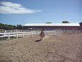 Cricket and Me Jumping at Bluestar June 2008