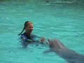 Spectacle dauphins - Marineland Antibes Spectacle dauphins - Marineland Antibes