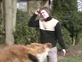 Revenge of the Fox