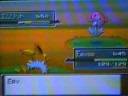 The battle(s) to catch Mesprit in Pokémon Platinum.