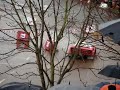MOV01980.MPG