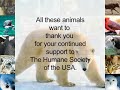 Help Animals