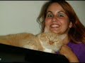 Dedication to our Fallen Kitty 