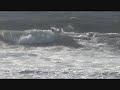 www.strusurfshop.com