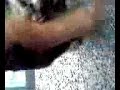 Chat Mangeur D\ Chat Mangeur D\