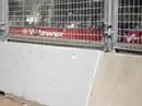 Australian F1 GP \