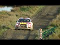 Wrc wales rally gb 2011  ss16       ( should have been stopped!!)  rallying