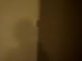 Mega Shark vs. Giant Octopus - Crash!