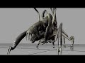 Parasite Animation test Parasite Animation test