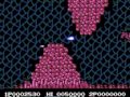 gameplay video for nes-bit.com