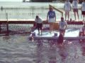 DolphinLab Dolphin training session: June 12th, 2009