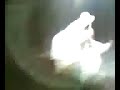 gigione e la ciociara