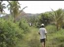 レイテ島動画3
