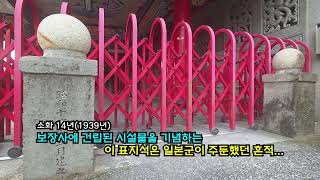 single-video-image