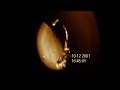 Another One Of Truth's Protective Layers Part 2 Re: The Moon
