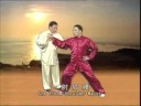 若想看更多片段內容的描述,...