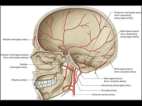 how to cure belching