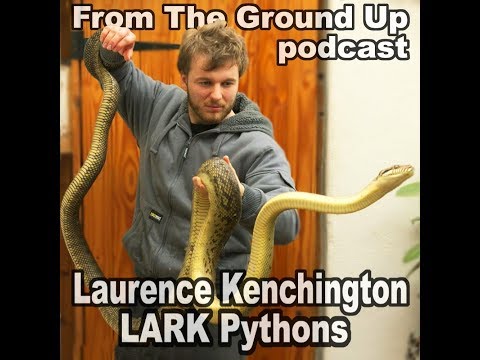 YouTube reptile video