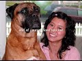 My Bullmastiff Rocky (Part 2) My Bullmastiff Rocky (Part 2)