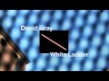 David Gray - "This Year's Love"