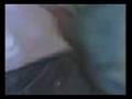 videos de escondidas