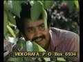 Search Video