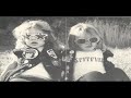 Spitfire - Dive